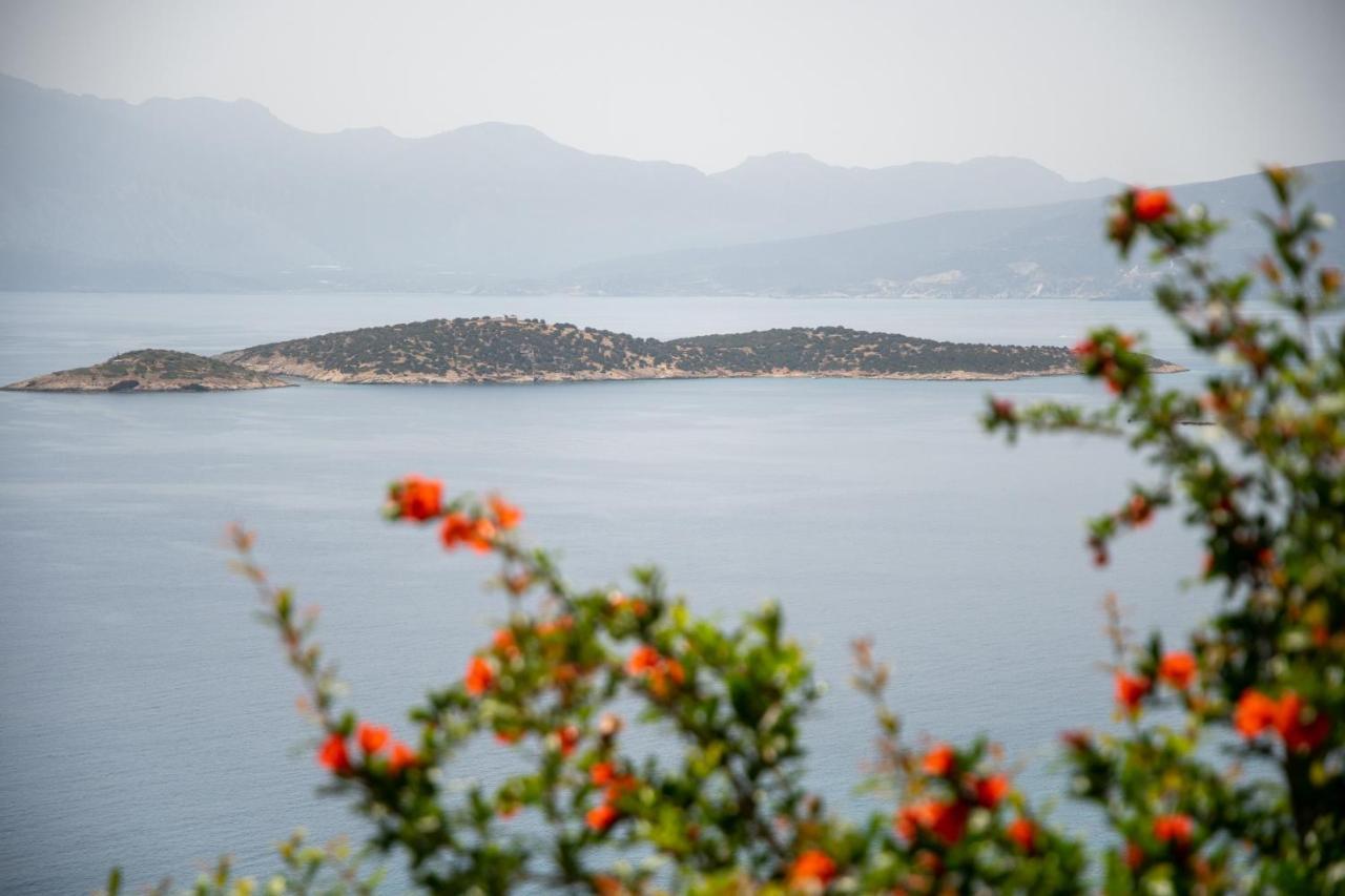 Miracle View Villas Agios Nikolaos Exterior foto