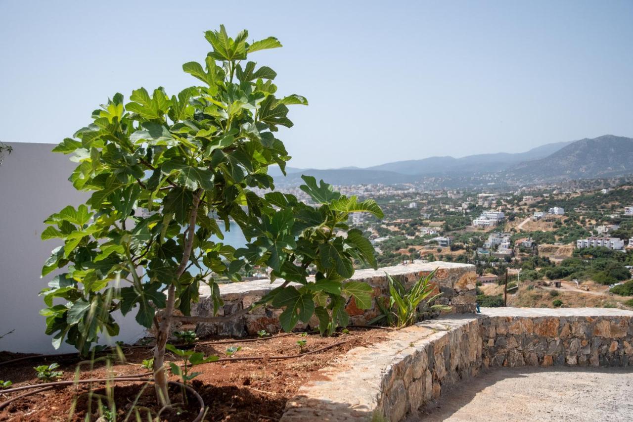 Miracle View Villas Agios Nikolaos Exterior foto
