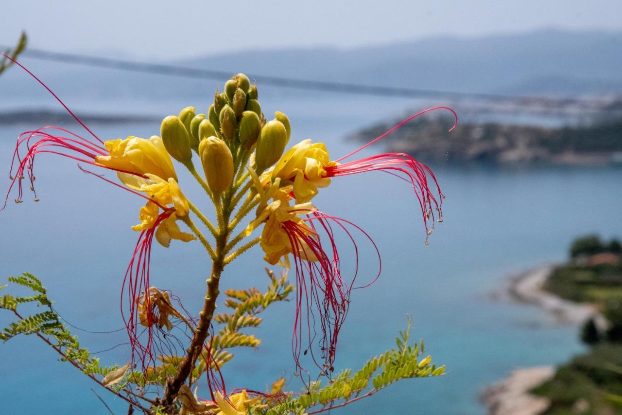 Miracle View Villas Agios Nikolaos Exterior foto